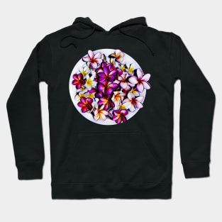 Frangipani blooms in a bowl Hoodie